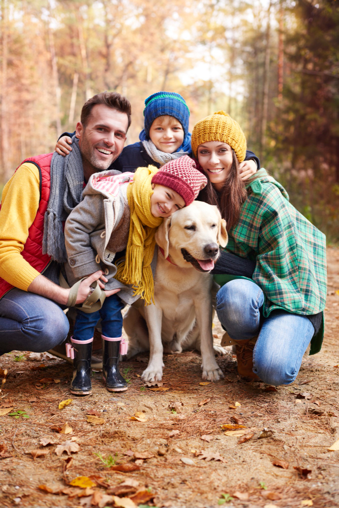 DogMi collaborative pet care